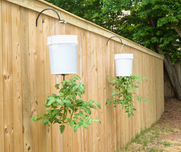 15 Vegetables That Grow Best in Upside-Down Gardens
