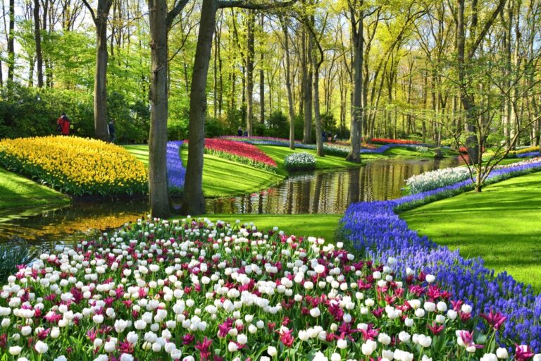 13 Beautiful Spring Flowers Perfect for Shaded Gardens