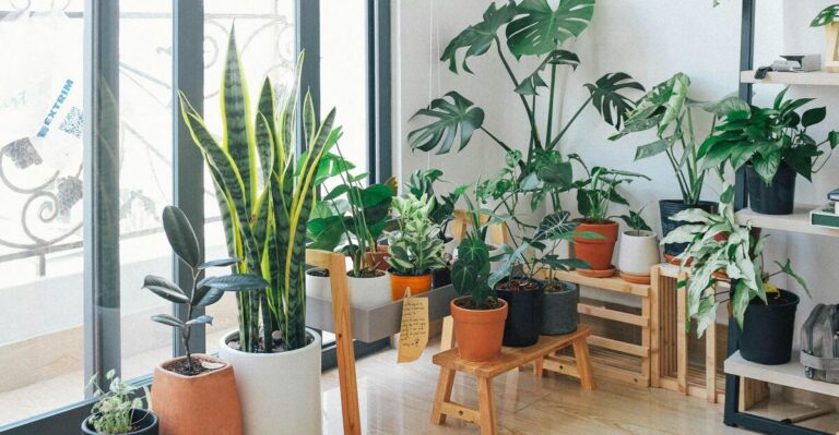 20 Houseplants You Can Easily Propagate in Just a Cup of Water