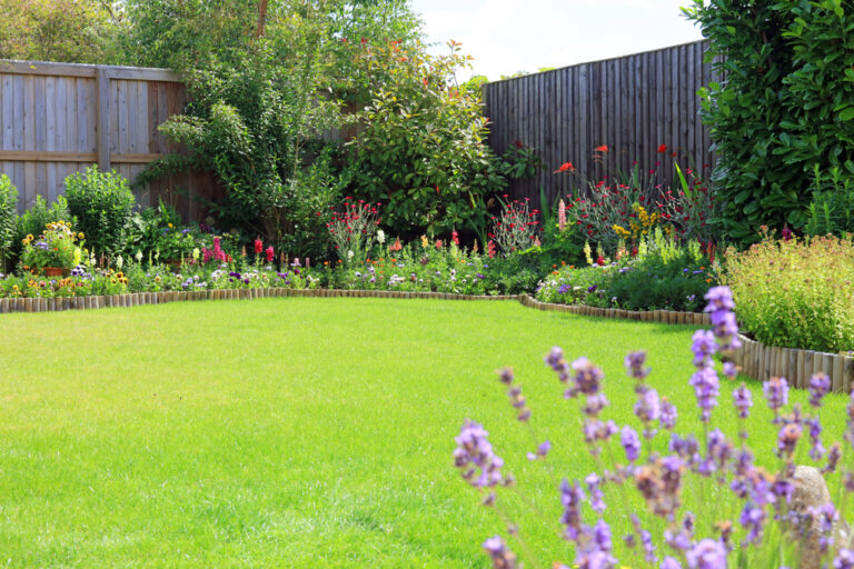 11 Low-Growing Shrubs That Add Instant Charm to Garden Borders