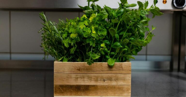 13 Easy-to-Grow Herbs for Your Kitchen Garden