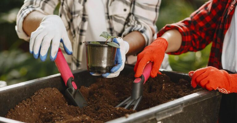 12 Tips to Make Your Garden Soil Healthier