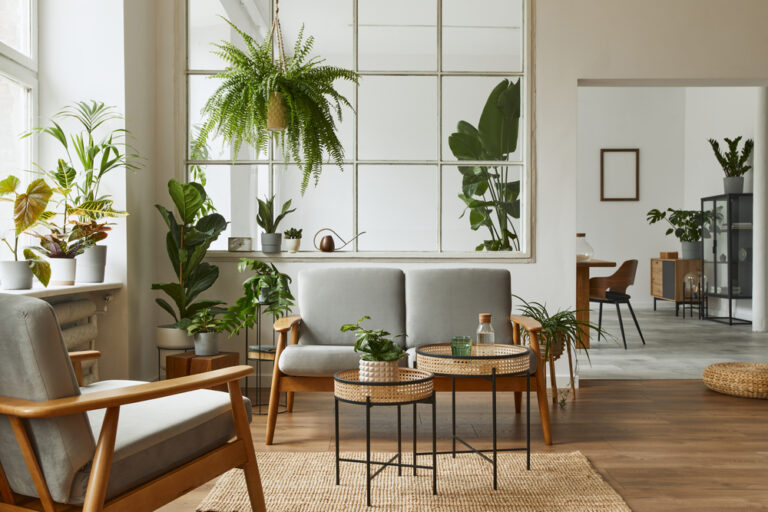 12 Air-Purifying Plants to Boost Your Indoor Air Quality
