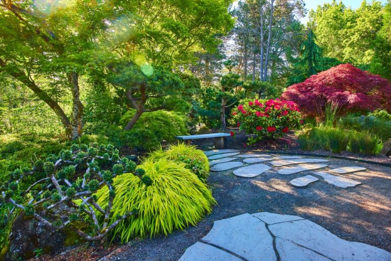 12 Best Plants and Vegetables That Thrive in Acidic Soil