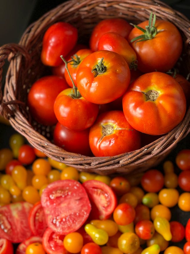 11 Best-Tasting Tomatoes for Your Garden and Kitchen