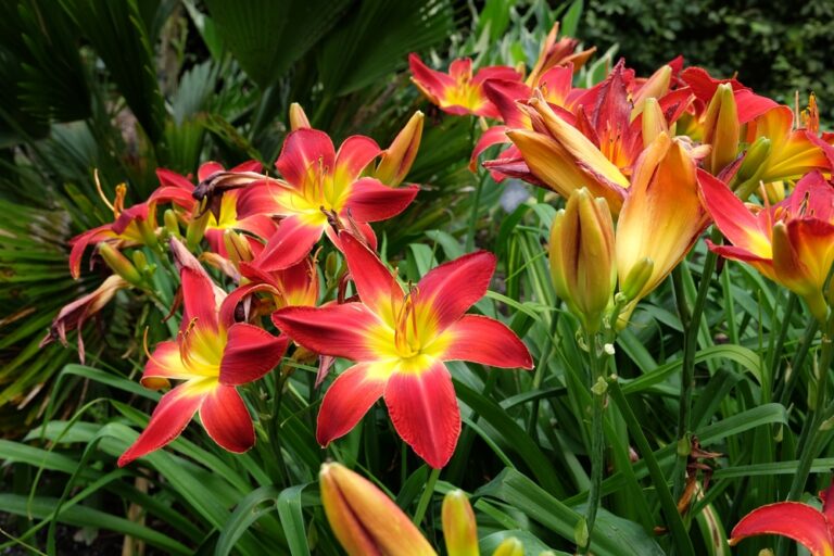 15 Perennials That Bloom Year After Year With Little Effort