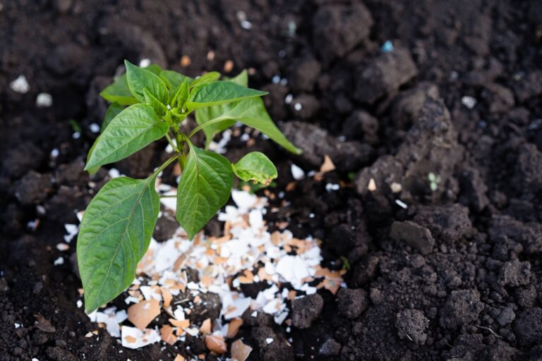 13 Genius Gardening Hacks Every Gardener Should Know