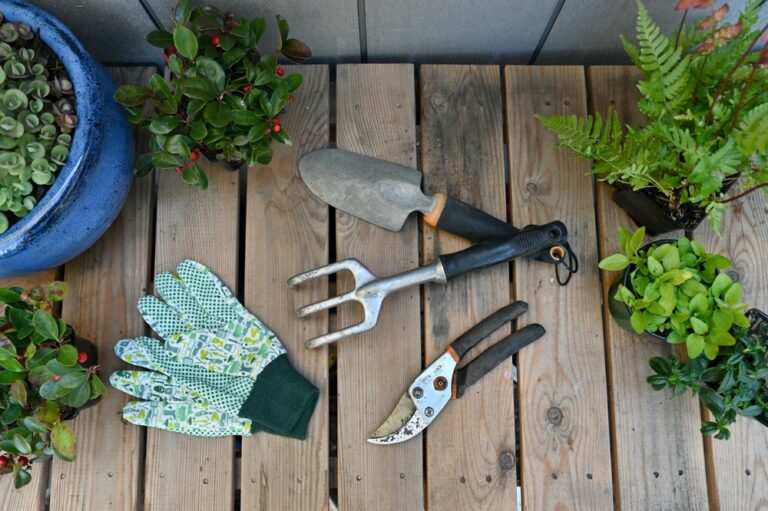 10 Tools Every Gardener Should Clean and Store Before Fall