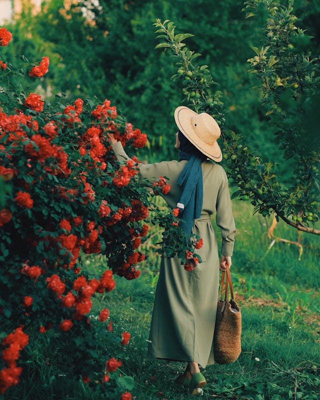 13 Red Flowers That Will Add Color to Your Garden Every Season