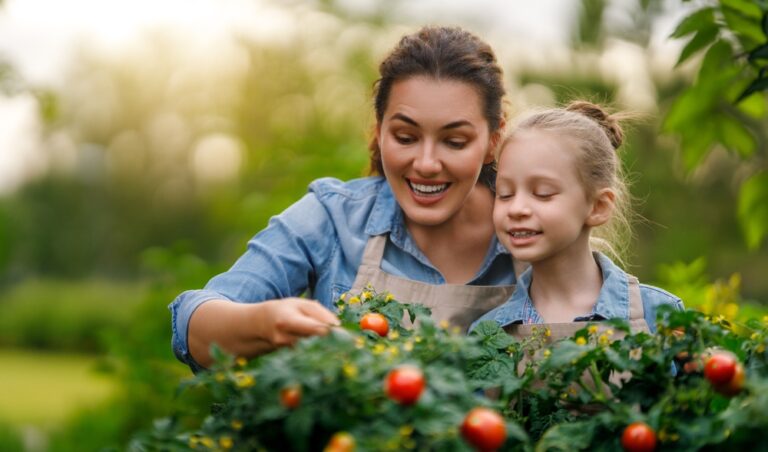 How to Create a Sustainable Garden Using Eco-Friendly Practices