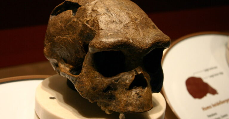 15 Priceless Artifacts That Mysteriously Disappeared