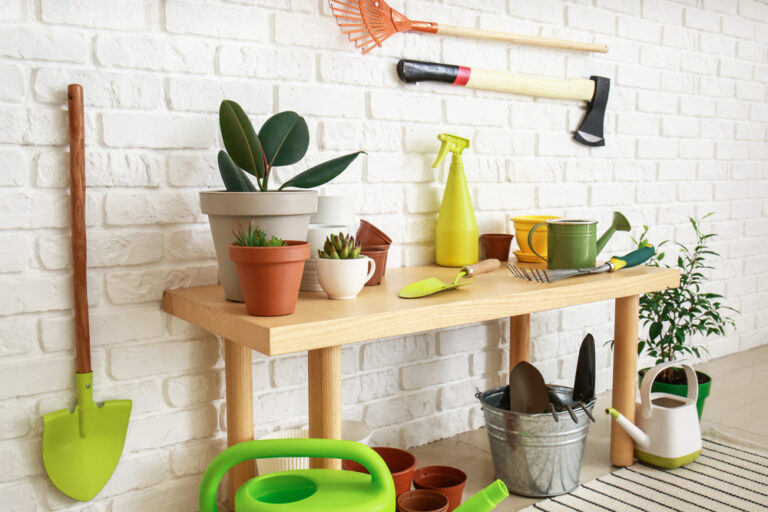 12 Essential Indoor Garden Tools for Beginners
