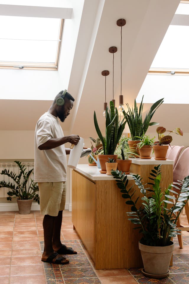 11 Simple Indoor Gardening Tips for Busy Lifestyles