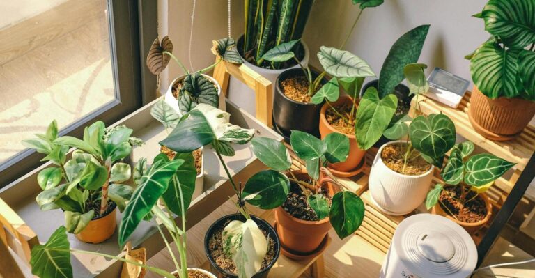 10 Creative Indoor Planters You Can Easily Make at Home