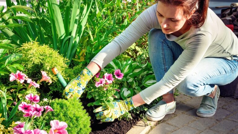 12 Vibrant Summer Annuals That Will Brighten Your Garden