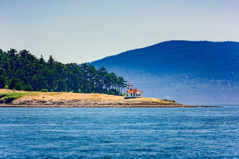 15 U.S. Coastal Towns Where Whale Watching Peaks in Late Winter