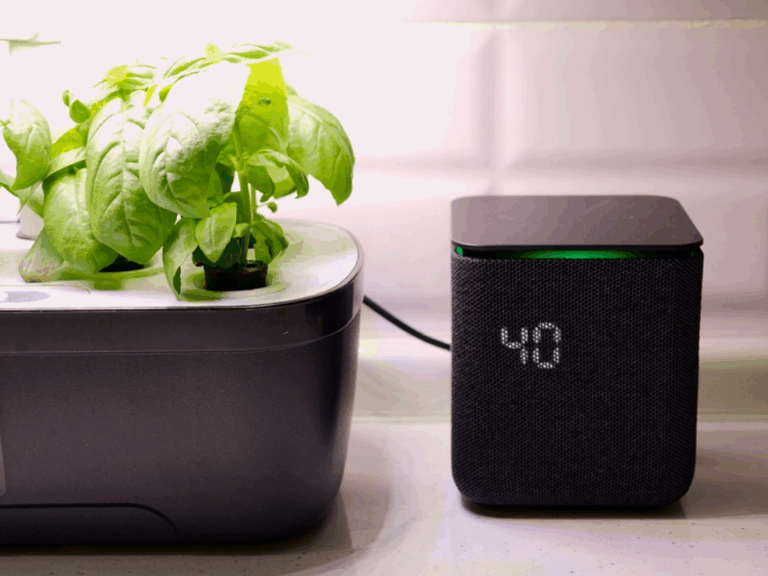 How To Set Up Smart Home With Alexa - Expert Guide 2025