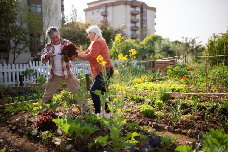 11 Steps to Build a Thriving Organic Vegetable Garden
