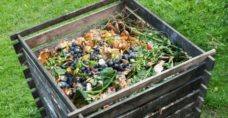 15 Beginner-Friendly Tips for Making Compost at Home