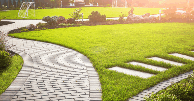 15 Proven Tips to Bring Dead Grass Back to Life