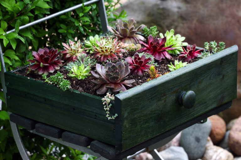 11 Creative Ways to Repurpose Household Items for Indoor Gardening