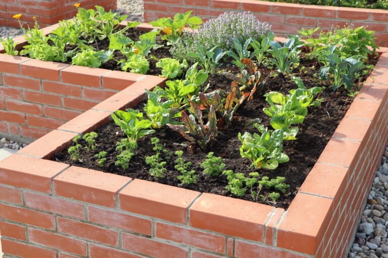 How to Extend Your Growing Season with Raised Beds and Cold Frames