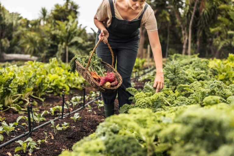 The Benefits of Organic Gardening: Why You Should Start Growing Naturally
