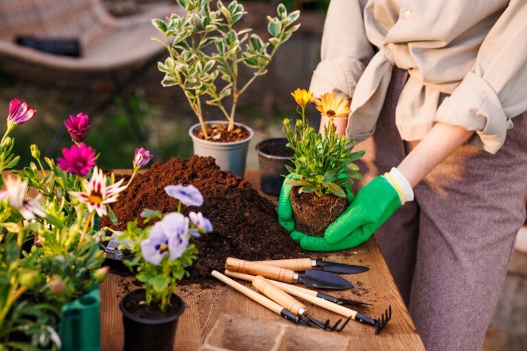 Gardening Tasks for Every Season from Spring to Winter