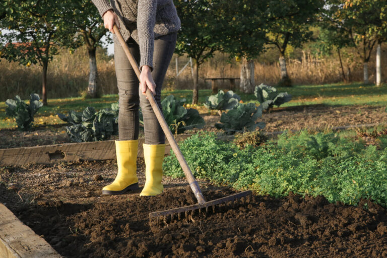 How to Prepare Your Soil for a Healthy Garden