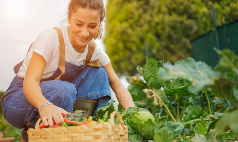 How to Start a Vegetable Garden from Scratch