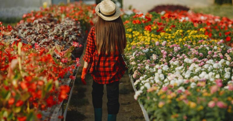 12 Vibrant Flowers to Add Color to Your Garden