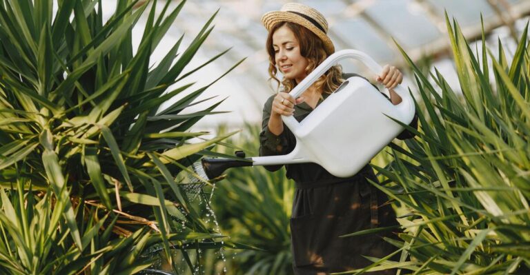 15 Key Tips to Help You Water Your Garden More Effectively in Summer