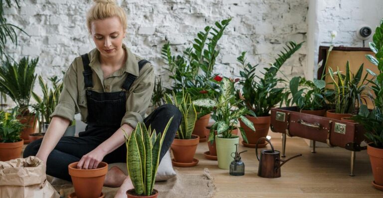 11 Myths About Indoor Gardening You Should Stop Believing