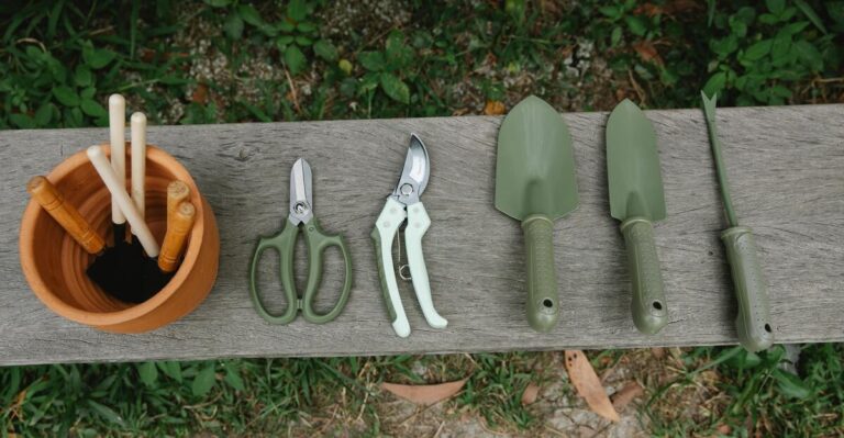 12 Must-Have Budget-Friendly Tools for Every Gardener