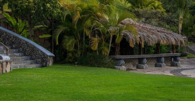 11 Best Types of Grass You Can Grow In Your Yard
