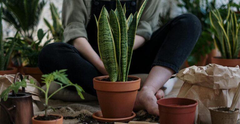 11 Budget-Friendly Indoor Gardening Ideas for Small Spaces