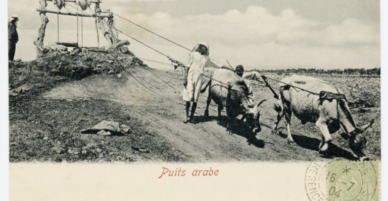 12 Must-Know Facts About Collecting Antique Postcards