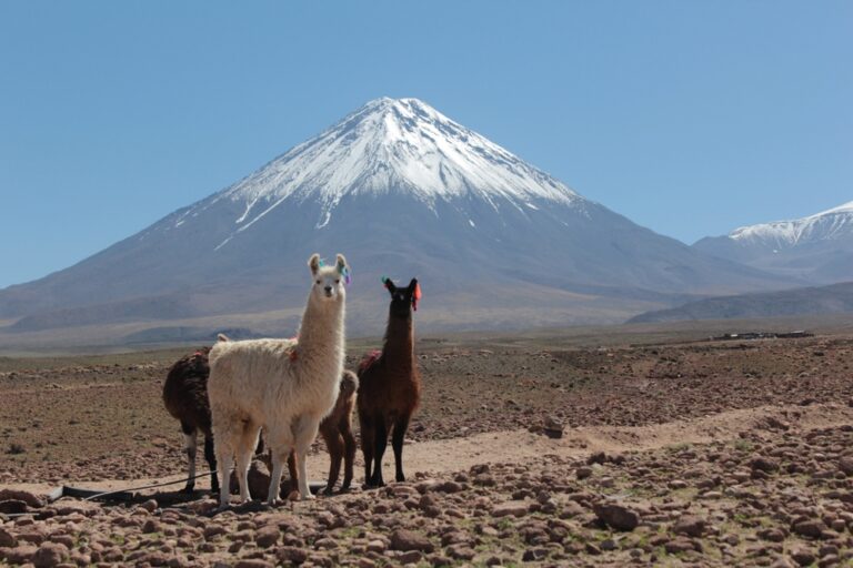 12 Beautiful Desert Destinations Around the World for Stunning Views