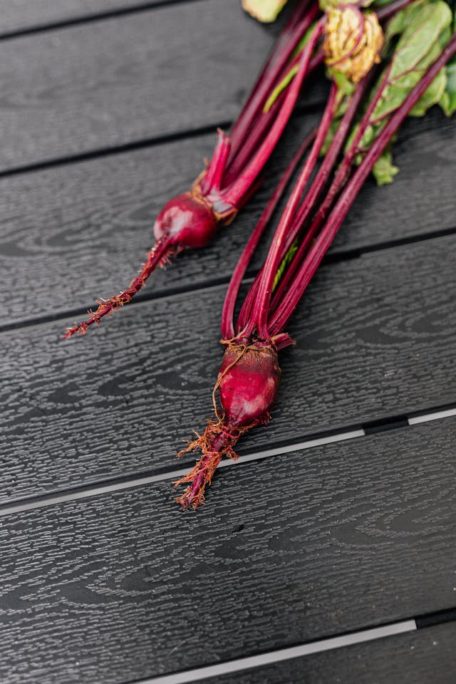12 Common Beetroot Growing Mistakes and How to Avoid Them
