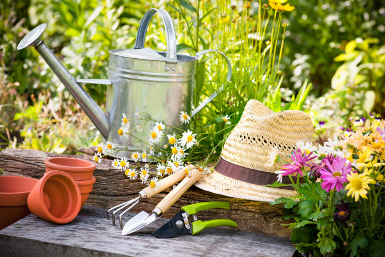 11 Best Gardening Tools for Surviving Hot Weather