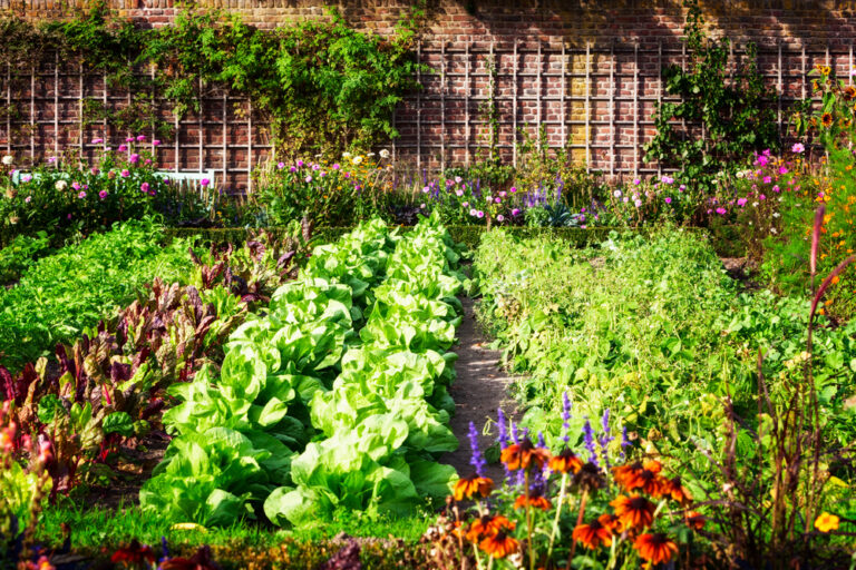 12 Best Vegetables to Grow in Small Gardens