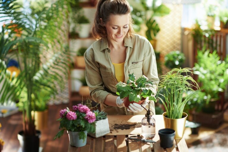 12 Common Mistakes to Avoid When Gardening in Apartments