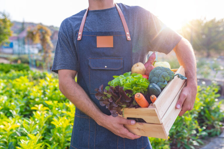 The Importance of Crop Rotation in Your Vegetable Garden