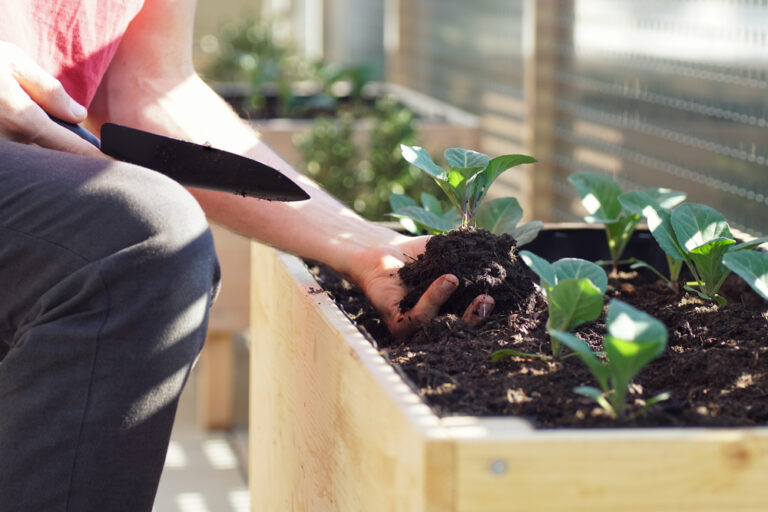 10 DIY Fall Garden Projects to Spruce Up Your Yard