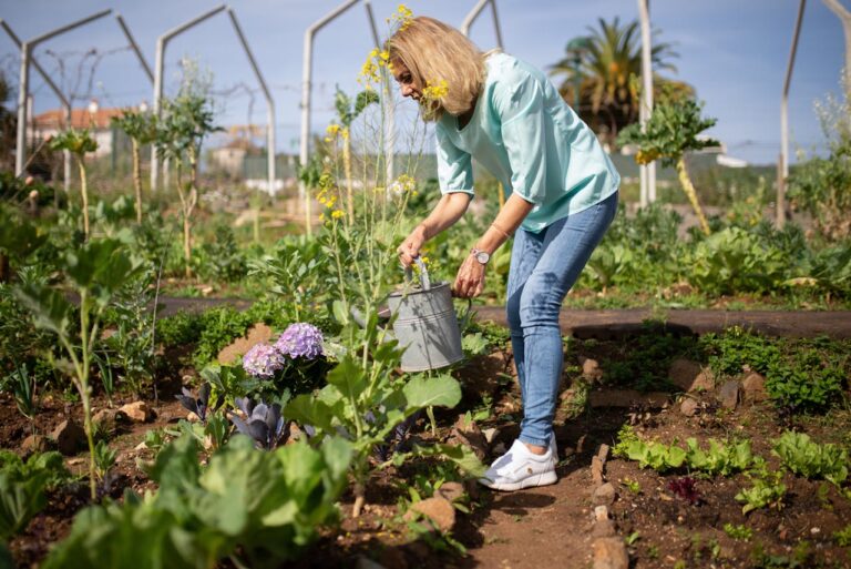 14 Lawn Care Tips to Transition Smoothly From Summer to Fall