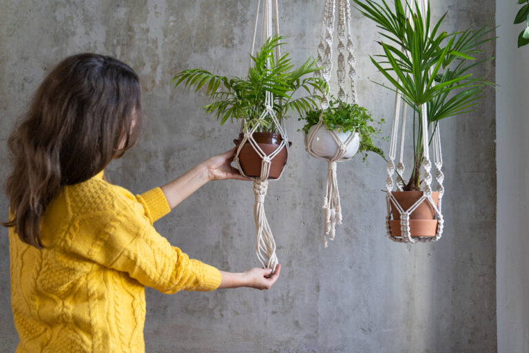 12 Best Indoor Hanging Plants for Low-Light Spaces