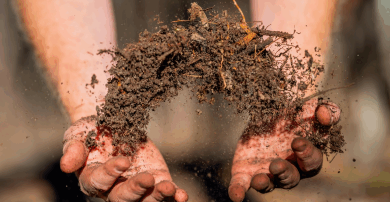 15 Ways to Improve Soil Health in Hot Weather Gardens