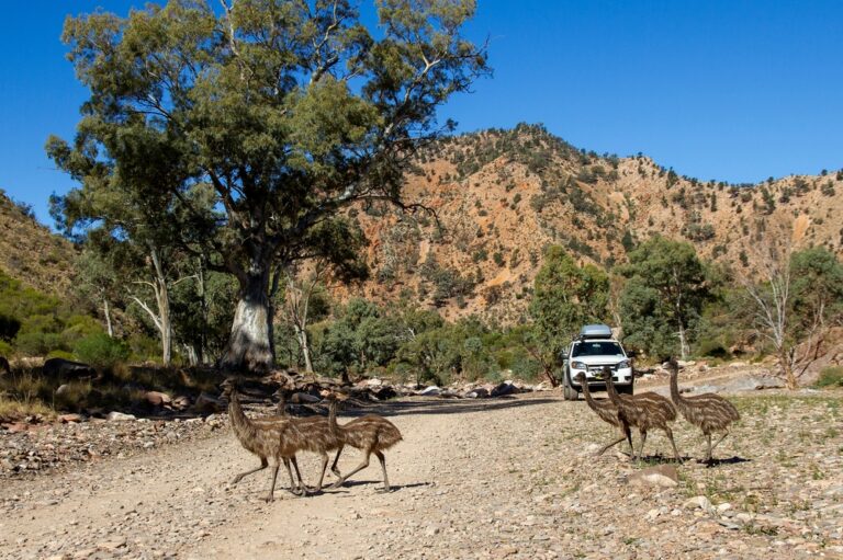 12 Incredible Road Trips That Will Take You Off the Beaten Path