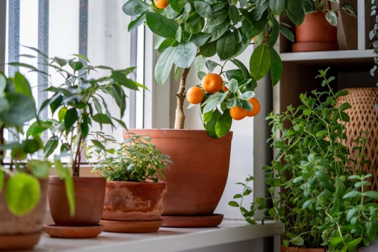 12 Indoor Gardening Hacks for City Dwellers