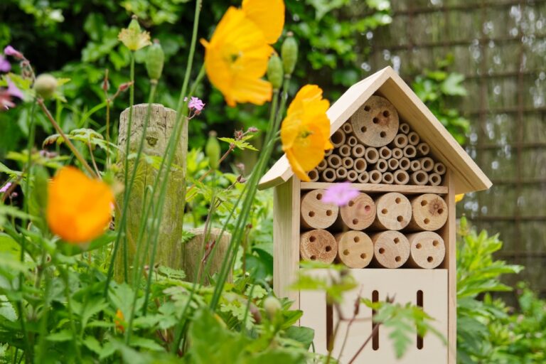 14 Easy Pollinator Prep Tasks You Can Do Before Flowers Bloom